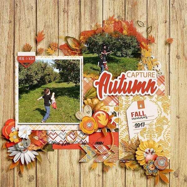 Capture Autumn