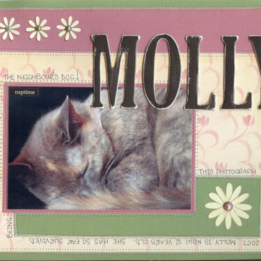 My girl Molly