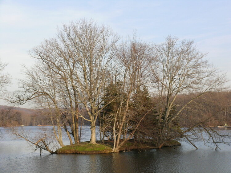 1/8-Island at Hopewell Lake