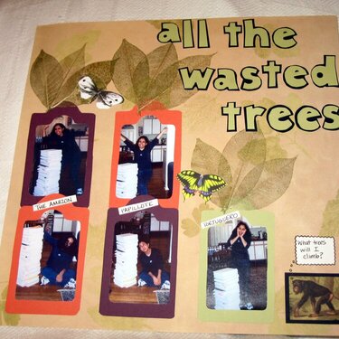 All the Wasted Trees