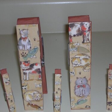 Picture holder clothes pins