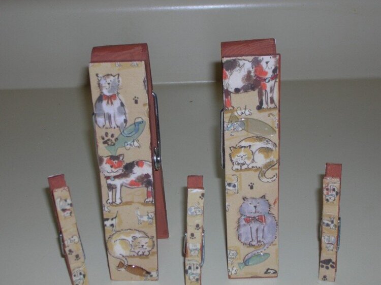 Picture holder clothes pins