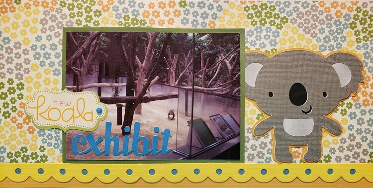 New koala exhibit