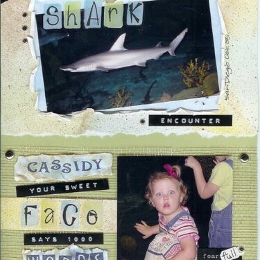 - Shark Encounter - Cassidy funny Face!!!