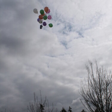 Balloon release6