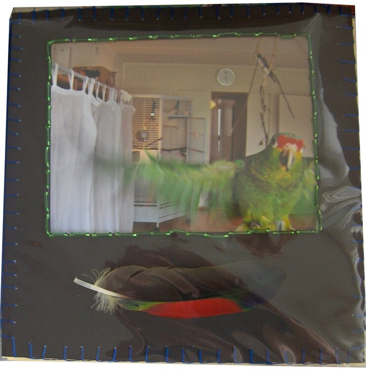 Flying parrot