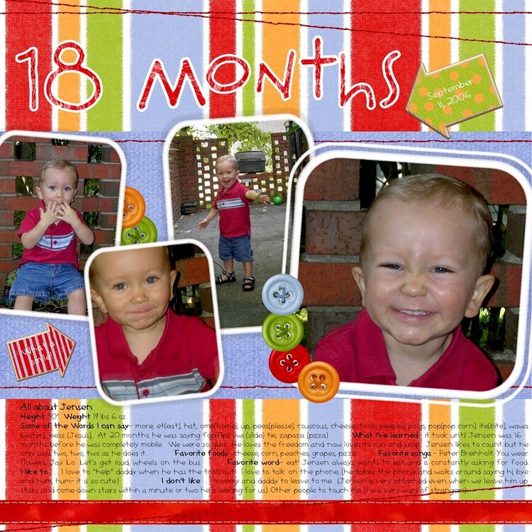 Jensen 18 Months