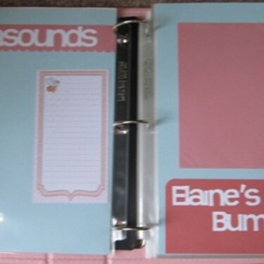 Elaine&#039;s baby book