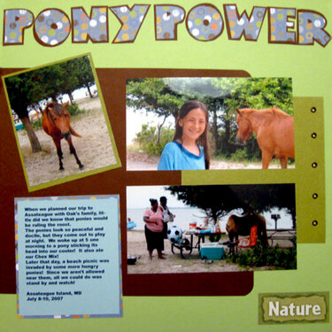 Ponies rule in Assateague, MD