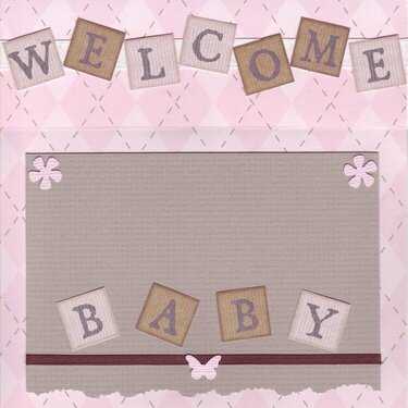 Welcome Baby Girl Inside