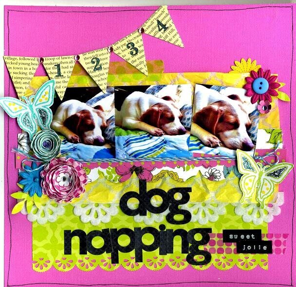 dog napping