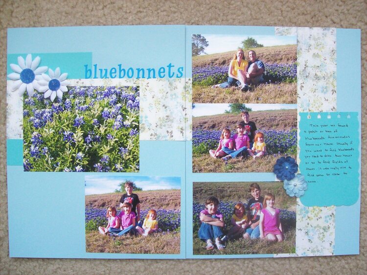 bluebonnets