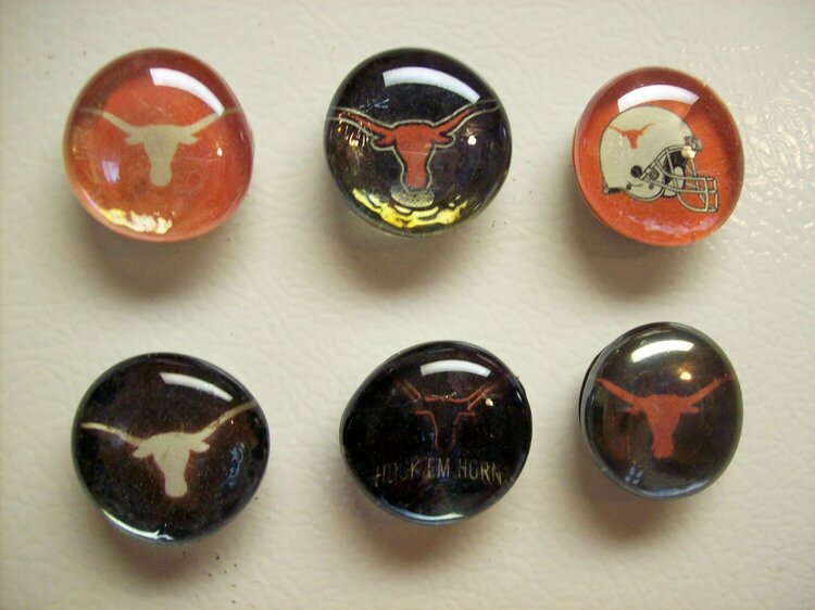 Longhorn Magnets