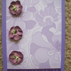 Purple Card