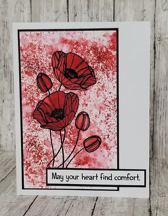May your heart find comfort