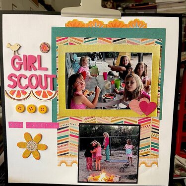 Girl Scout get together