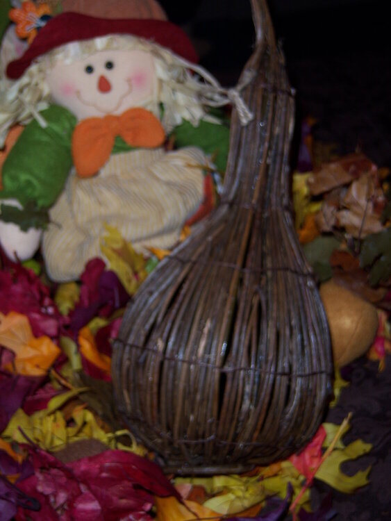 #3. November Photo Challenge ~ A Gourd {6 points}