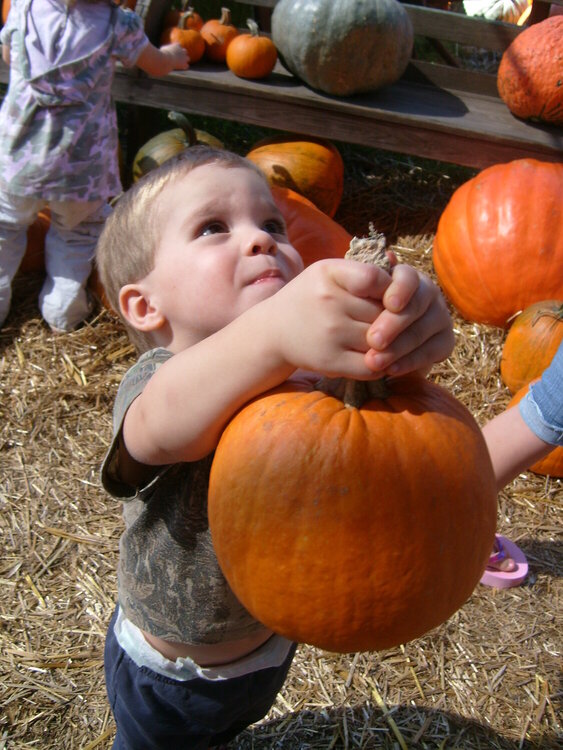 Aj picked his pumpkin