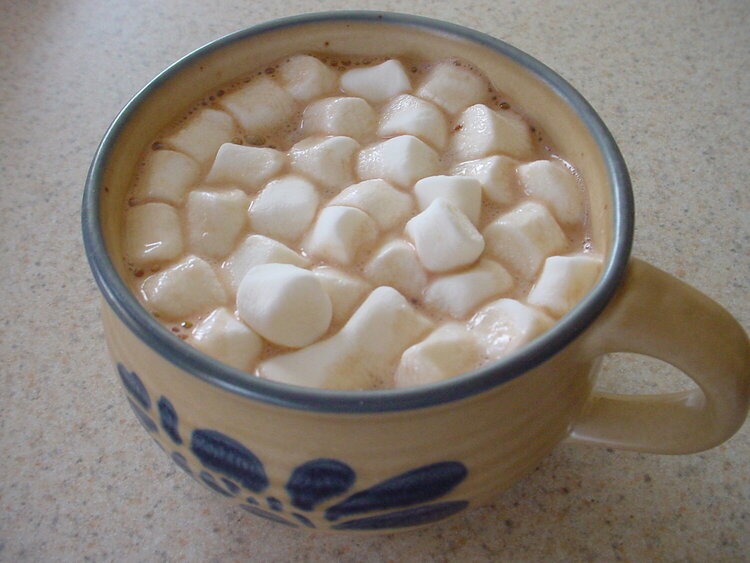 13. Hot Cocoa {5 pts.} / With Whip Cream or Marshmallows {5 extra pts.}