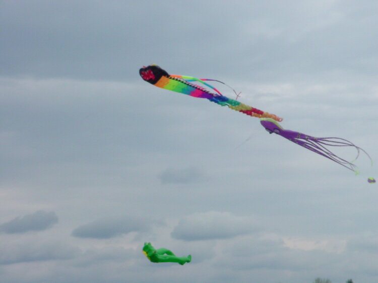 Kite Festival