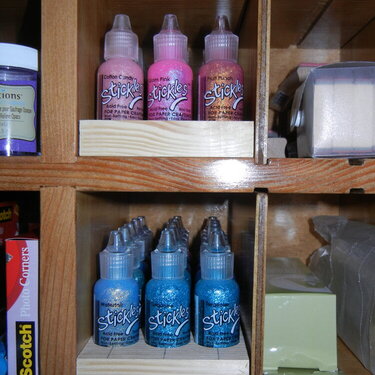 Stickles Organization - Trays in the shelf