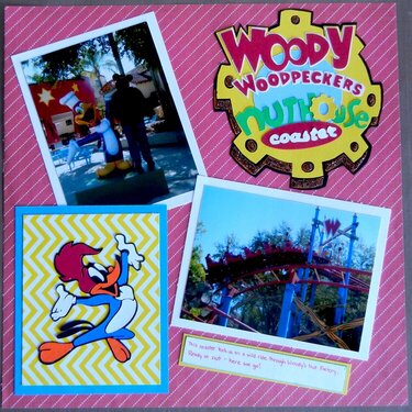Woody Woodpecker&#039;s Nuthouse Coaster