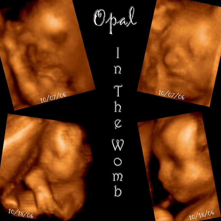 Opal in the Womb