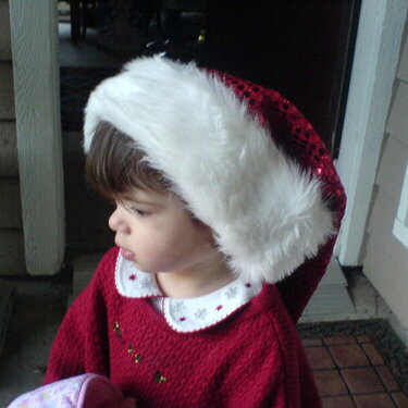 Christmas Santa hat