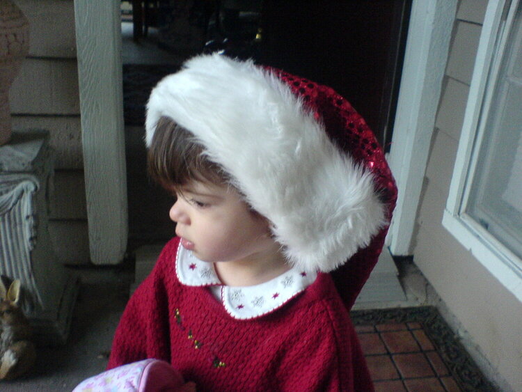 Christmas Santa hat