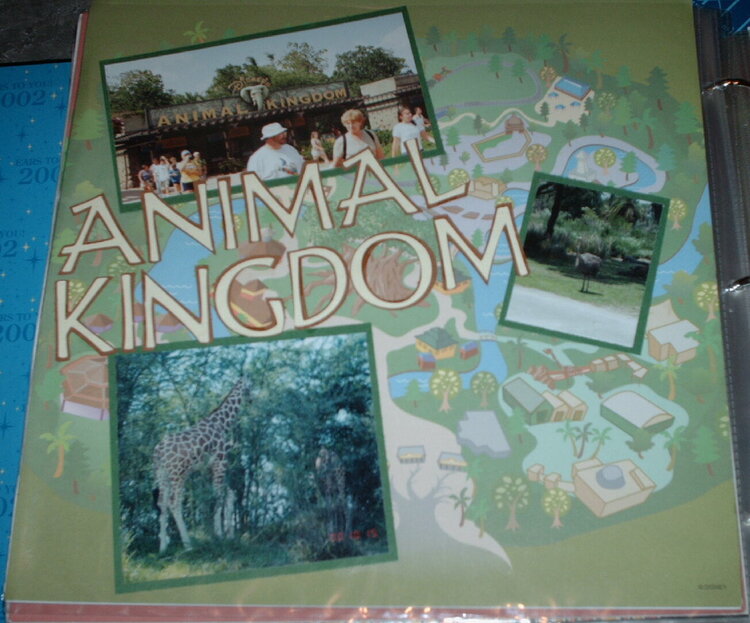 Animal Kingdom