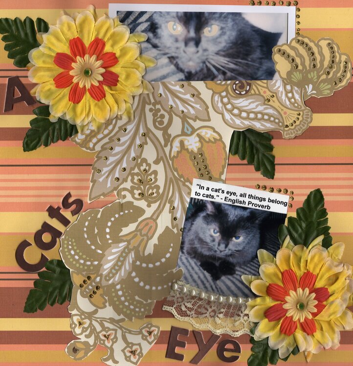 A Cat&#039;s Eye