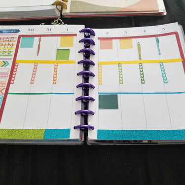 The College Experience - personal planner