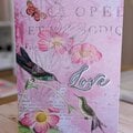 Hummingbird Love