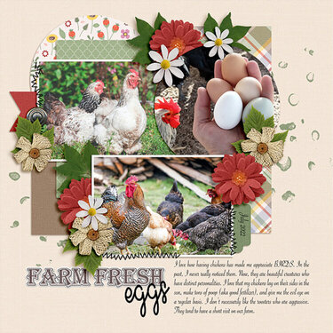 Farm Fresh Eggs