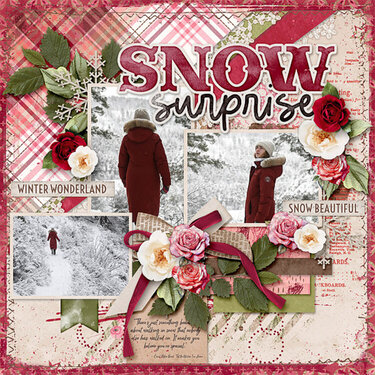 Snow Surprise