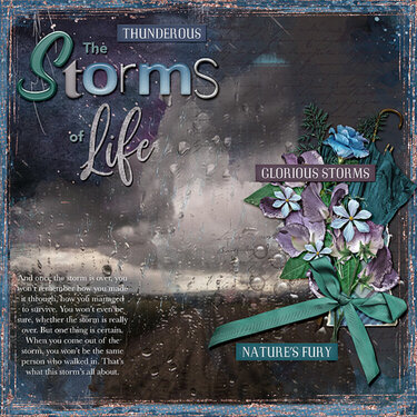 Storms of Life