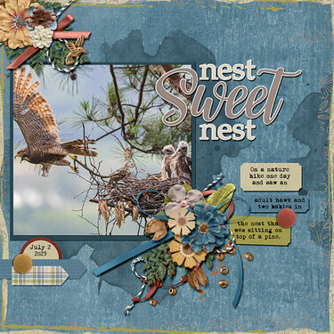 Nest, Sweet Nest