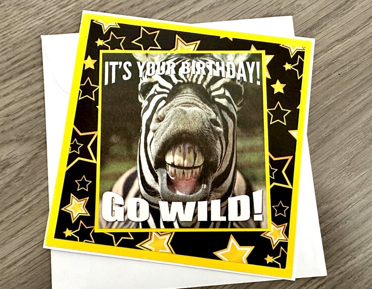 Wild Zebra birthday card