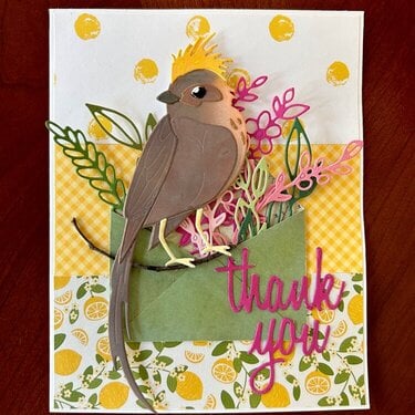 Bird on branch Thank You card
