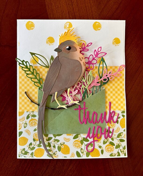 Bird on branch Thank You card