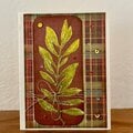 Olive Branch Fall Colors Card