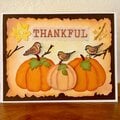 Pumpkin & Birds Thankful card
