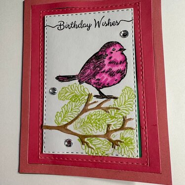 Cards for Kindness Happy Birthday
