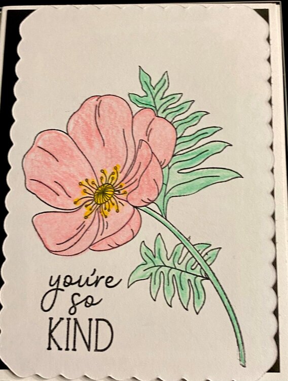 You&#039;re So Kind  #Cards for Kindness