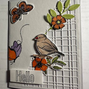 #Cards for Kindness   HELLO!