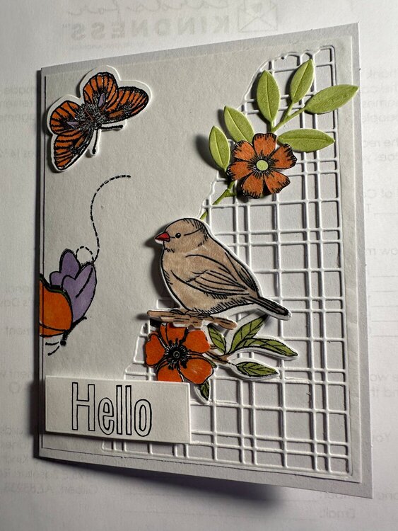 #Cards for Kindness   HELLO!