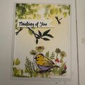 #Cards for Kindness  "Thinking of you