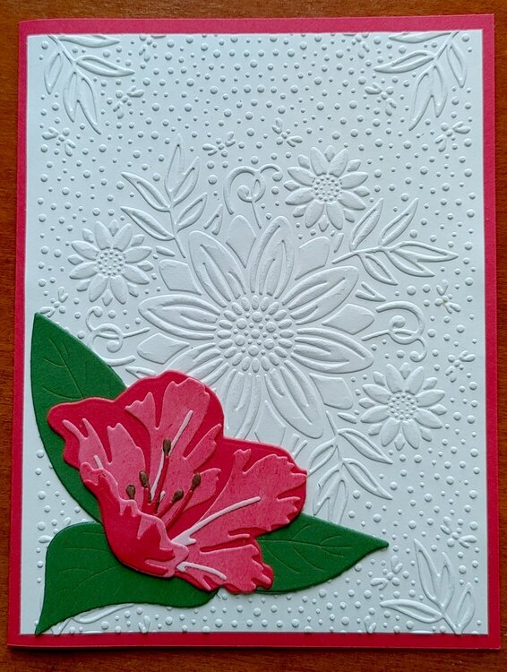 Azalea Card