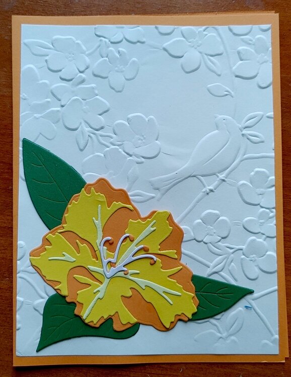 Azalea Card