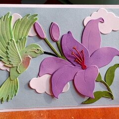 Pop up Hummingbird Card